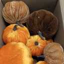 17 Pack Fall Artificial Velvet Pumpkins Decorations, Foam Faux Flocked Pumpkin Including Wooden Hello Pumpkins Sign, for Home Autumn Harvest Theme Party Halloween Thanksgiving Table Decor. (Orange/Coffee/Dark Brown)