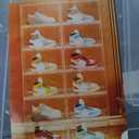 7 code Large Clear Shoe Boxes Organizer【Thicker Material】 Stronger Shoe Box with Magnetic Door, Stackable Shoe Storage Box for Closet, Foldable Space-Saving Storage Bins Shoe Cabinet, White 9 Pack