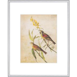 8x10 Picture Frame, Silver Modern Aluminum Metal Photo Frame with HD Glass, Fits 5x7 with Mat or 8 x 10 without Mat, for Tabletop and Wall Mounting, 1 Pack