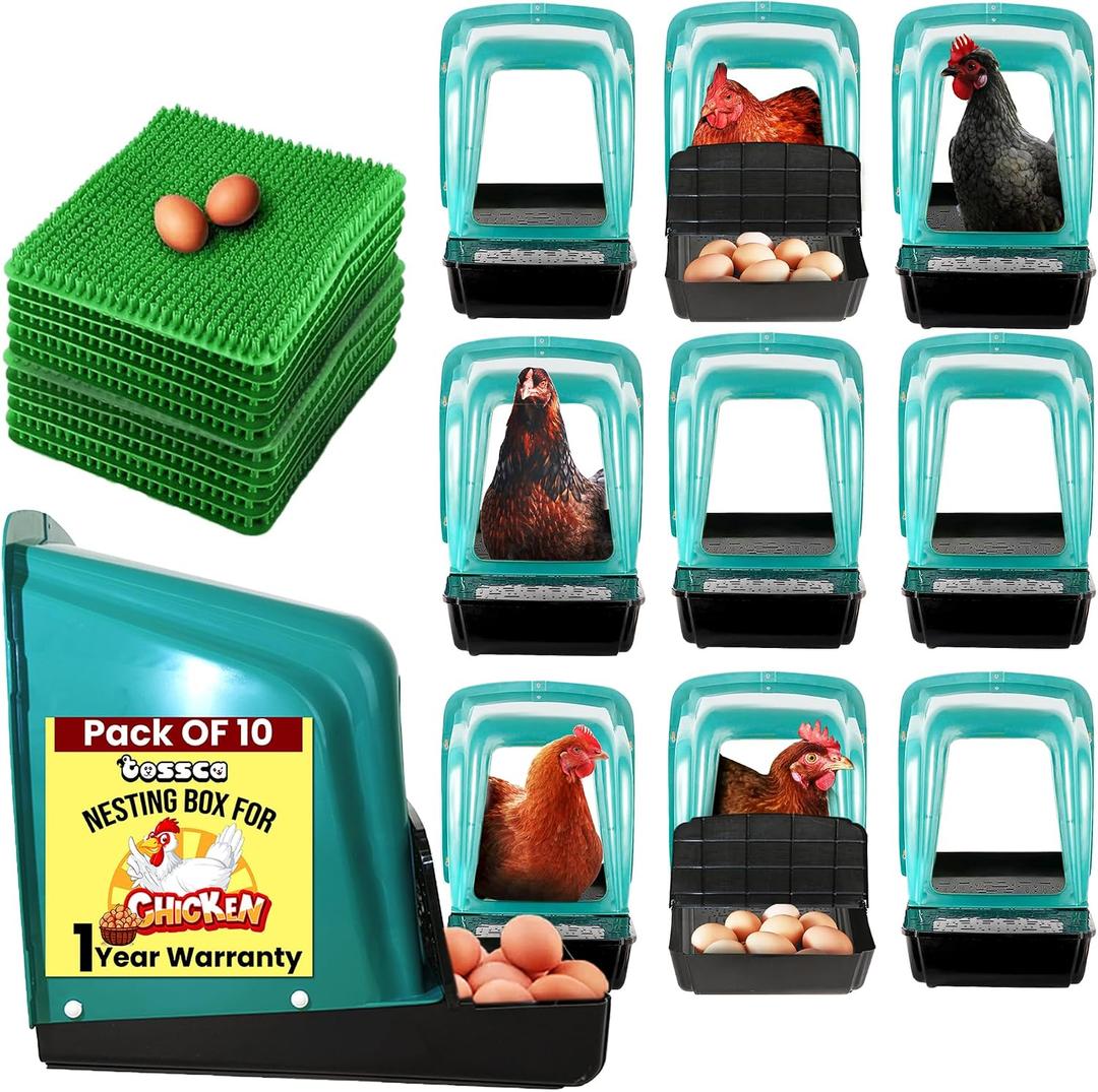 Nesting Boxes for Chicken Coop | Roll Away Hen House for Laying Eggs | Durable Plastic Chick Brooder Box with Perch & Pull Out Egg Tray for Poultry Farm | Chicken Coop Accessories (Pack of 10)
