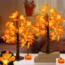 Timer - Fall Thanksgiving Tree, 18 Inch Prelit Lighted Maple Tree Thanksgiving Decorations with 24 Pumpkin Lights Battery Operated for Autumn Harvest Decor Indoor Home Table Halloween Christmas