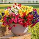 trytuny 20 Pcs Artificial Flowers for Outdoor, UV Resistant Realistic Pansies Fake Flowers for Indoor and Outdoor Garden, Porch, Patio, Window Box Decor All Year Round (20pcs-Mixed color)