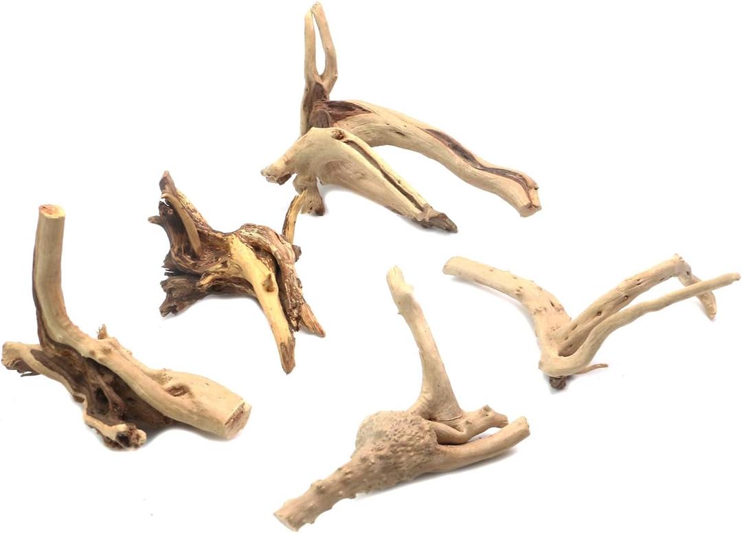 5Pcs Natural Cuckoo Wood for Aquarium, Aquarium Decor Wood Freshwater Fish Tank Reptile Driftwood Branch Length 3.93" to 5.9"