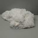 XeGe Fluffy Stuffed Animal Storage Bean Bag Chair Cover(No Filler), Washable Soft Bean Bag Cover for Plush Toys or Textile, Plush Shaggy Large Bean Bag for Adults Kids Teens, Beige (Large(38"x38"x40"))