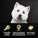 Cesar Wet Dog Food Classic Loaf in Sauce, Breakfast and Dinner with Grilled Steak & Eggs Flavor, and Chicken & Liver Flavor, 3.5 oz. Easy Peel Trays, Variety Pack, 24 Count