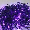 HOME LIGHTING 66ft Halloween Decorative Mini Lights, 200 LED Green Wire Fairy Starry String Lights Plug in, 8 Lighting Modes, for Indoor Outdoor Xmas Tree Wedding Party Decoration (Purple)