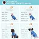 2-Pack Small Dog Surgery Recovery Suit Female/Male, Post Surgery Protective Wear with Pee Hole, Unisex Pet Surgical Vest for Wound Care, Spay/Neuter Healing (Blue+Pink)