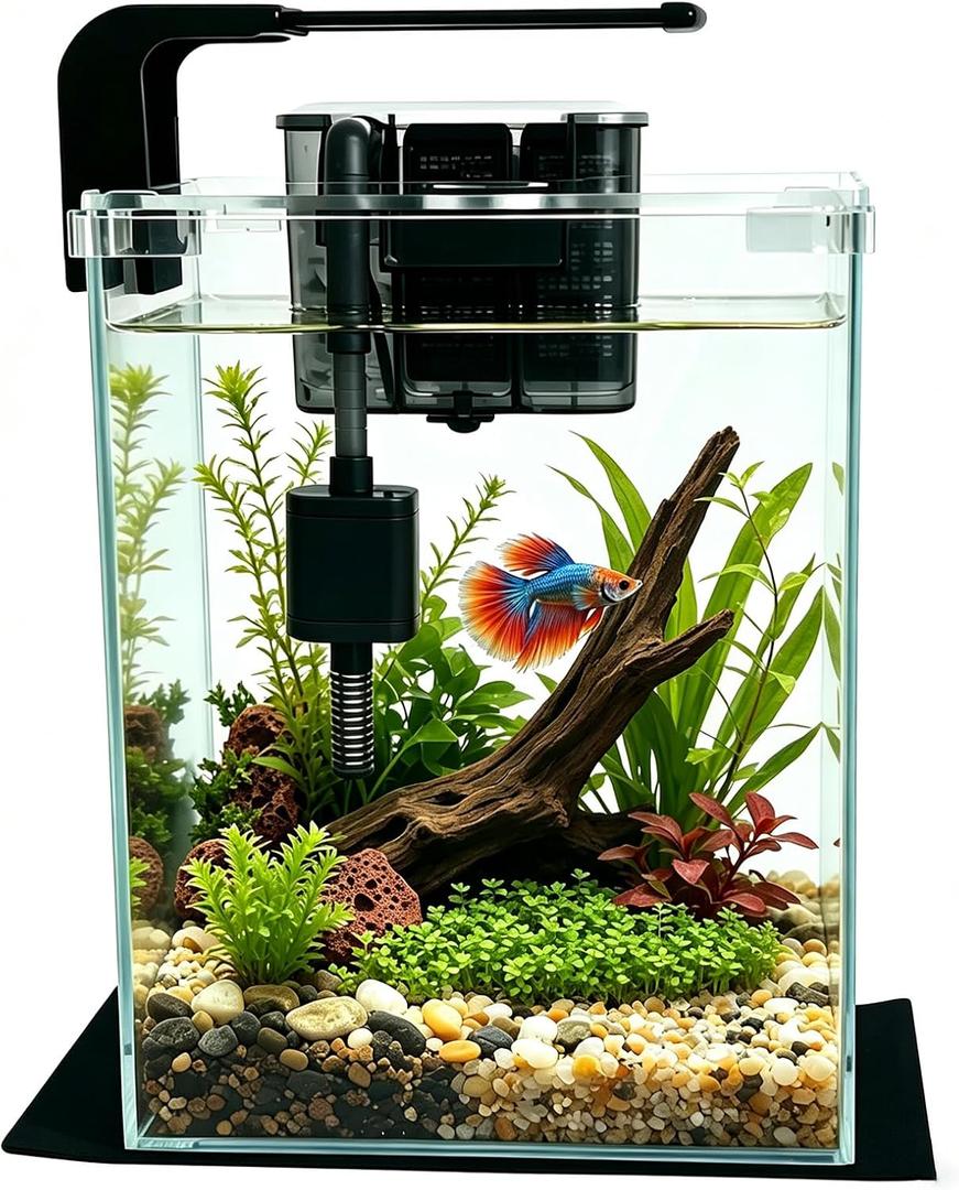 Vimvins 3 Gallon Glass Fish Tank with Filter and Light, Small Betta Aquariums Starter Kit.