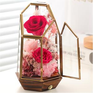 Valentines Day Flowers Gifts for Women,Forever Real Preserved Roses in Glass Dome,Valentines Day Roses Gifts for Her Wife Women Best FriendPink