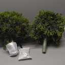 Capoda 2 Pack 24" Artificial Norfolk Pine Topiary Ball Trees with Ground Spike, Christmas Outdoor Shrubs, Fake Plants for Winter Holiday Xmas Outdoor Indoor Front Door Porch Patio Garden Yard Decor