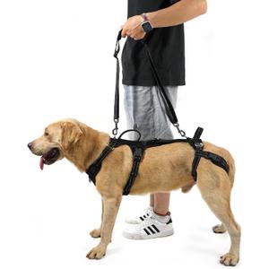 COODEO Mobility Dog Lift Harness, Support Sling & Walking Sling for Dogs, Pet Rear Leg Rehabilitation Support Vest, Dog Carrier for Senior Dogs with Joint Injuries, Arthritis, Up Stair (Black, XL)
