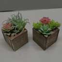 Der Rose 2 Pack Fake Plants Succulents Plants Artificial Cactus Plants in Wood Pots with Pink Flowers for Farmhouse Bathroom Decor