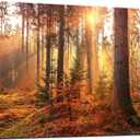 msspart Mystery Forest Light Wall Art, Nature Landscape Pictures Canvas Prints Wall Decor, Autumn Trees Paintings Hang for Office Bedroom, Bathroom, Living Room for Home Decoration - 32”x48”