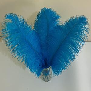 10pcs Large Turquoise Ostrich Feathers 16-18 inch Fluffy Feather for Crafts Home Party Decoration Wedding Centerpieces Clothes Vase Decor