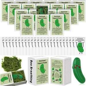 72 Sets Social Worker Appreciation Gifts Emotional Coworker Support Bulk Positive Appreciation Gifts for Employee Volunteer Office Staff Teacher Team Thank You Week Presents (Pickle)