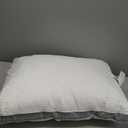 Isotonic Indulgence Synthetic Down Pillow | Side Sleeper (Standard/Queen)