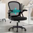 Fizzin Ergonomic Office Chair, Ergonomic Desk Chair with Adjustable Lumbar Support, Mesh Computer Chair with Comfy Flip-up Armrests, Executive Task Chair for Home Office (Black)