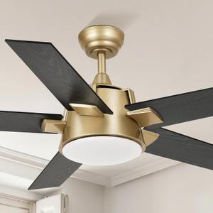 YITAHOME Black Gold 52 Inch Ceiling Fan with Light
Wall Switch Remote, Modern, Quiet Reversible Motor, Dimmable