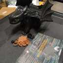 DreamWorks Dragons How to Train Your Dragon, Tame & Train Interactive Toothless with 60 Sounds & Reactions, Kids Toys for Boys & Girls Ages 4 & up, One Size