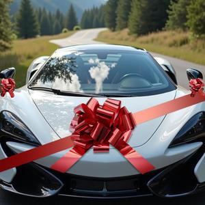 20 Inch Big Red Car Bow, Big Present Bows for Christmas, Giant Bow for Cars, Bowknot Happy Birthday Bowknot Huge Car Bikes Bows Wedding Party Decorations (Set-1)