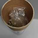 100 Pack 8 Green Glow Sticks Bulk with 100 Connectors Neon Glow In The Dark Party favors Supplies for Holiday Birthday Party Decoration (Green)