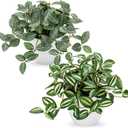 Hollyone Fake Plants 2 Packs Artificial Plants Indoor Faux Plants with White Plastic Pot Small Fake Potted Plant for Home Aesthetic Living Room Bathroom Desk Shelf Office Decor