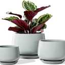 LE TAUCI Plant Pots for Indoor Plants, 4.1+5.1+6.5 inch, Set of 3, Ceramic Planters with Drainage Hole and Saucer, Indoor Flower Pot with Hole Mesh Pad, Gifts for Mom, Reactive Glaze Blue Gray
