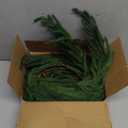 Christmas Norfolk Pine Garland, Artificial Greenery Garlands Norfolk Pine Leaves Real Touch Christmas Garland for Holiday Mantle Fireplace Table Home Decor (Dark Green, 6 FT)