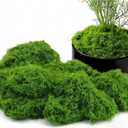 Fake Green Moss for Crafts, Artificial Moss for Potted Plants Indoor, 7OZ Faux Decor for Fairy Garden, DIY Decorative, Vase Fillers, Wedding Party, Model Making (Dark Green)
