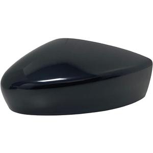 Spieg Driver Side Mirror Cover