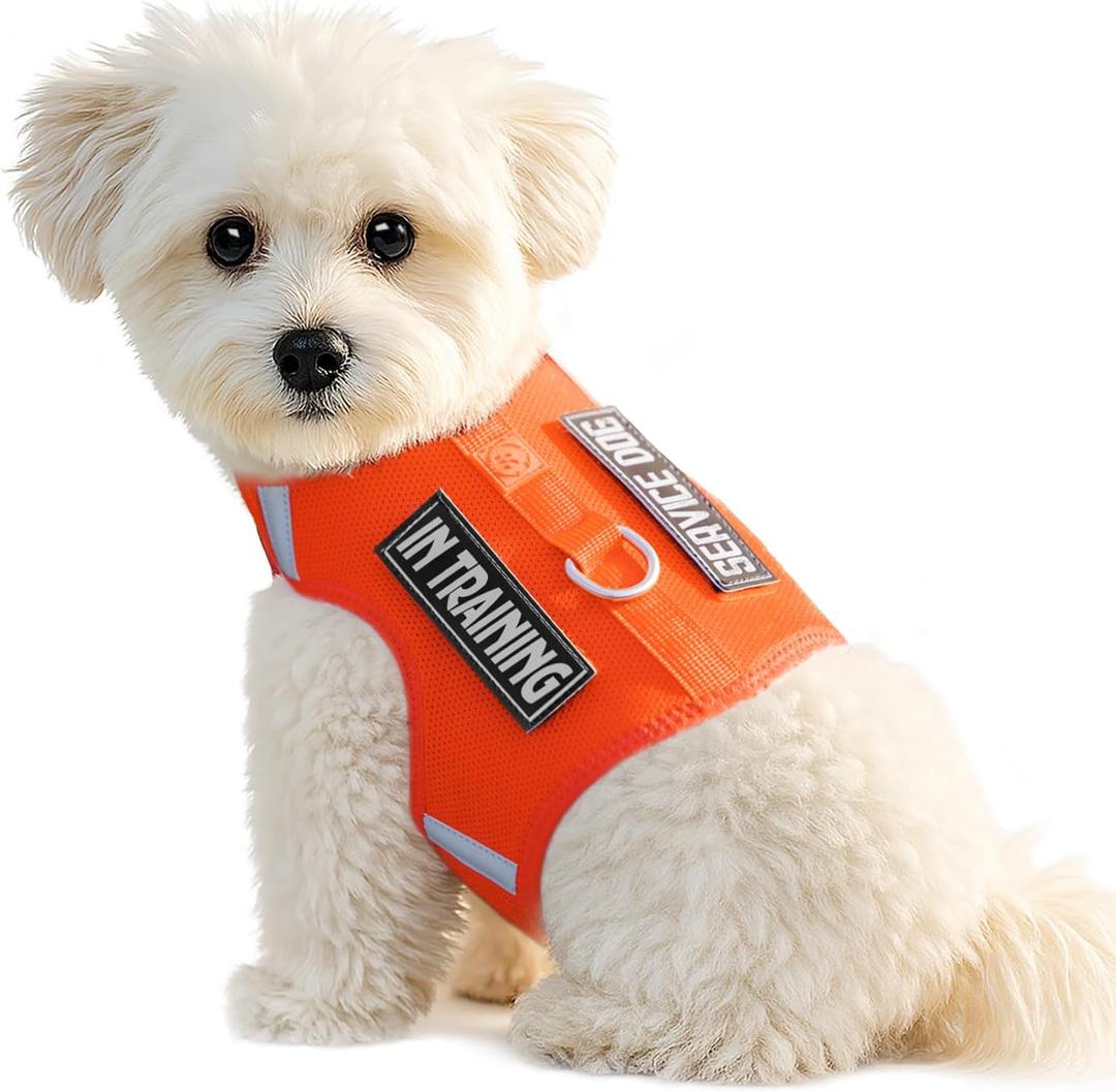 Sunraymascota Dog Harness for Puppy  Adjustable Reflective Easy Put On Soft Mesh Vest for Small Dogs with 2 Patches (Orange,XXXS) (XXXS(Neck:6.2-7.8",Chest:8.2-10.1"))