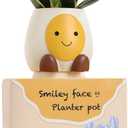 Abofth Fun Planters for Indoor Plants  Cute Plant Pots with Drainage and Tray, Unique Smiley Face Planter, Small Flower Pot Gifts for Plant Lovers, Office Home Decoration