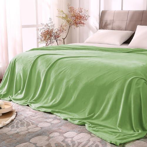 BEDELITE Fleece Blankets Queen Size Grass Green Throw Blankets for Bed, Luxury Plush Cozy Fuzzy Blanket 90x90 inches, Super Soft Warm Lightweight Throw Blanket All Seasons Suitable