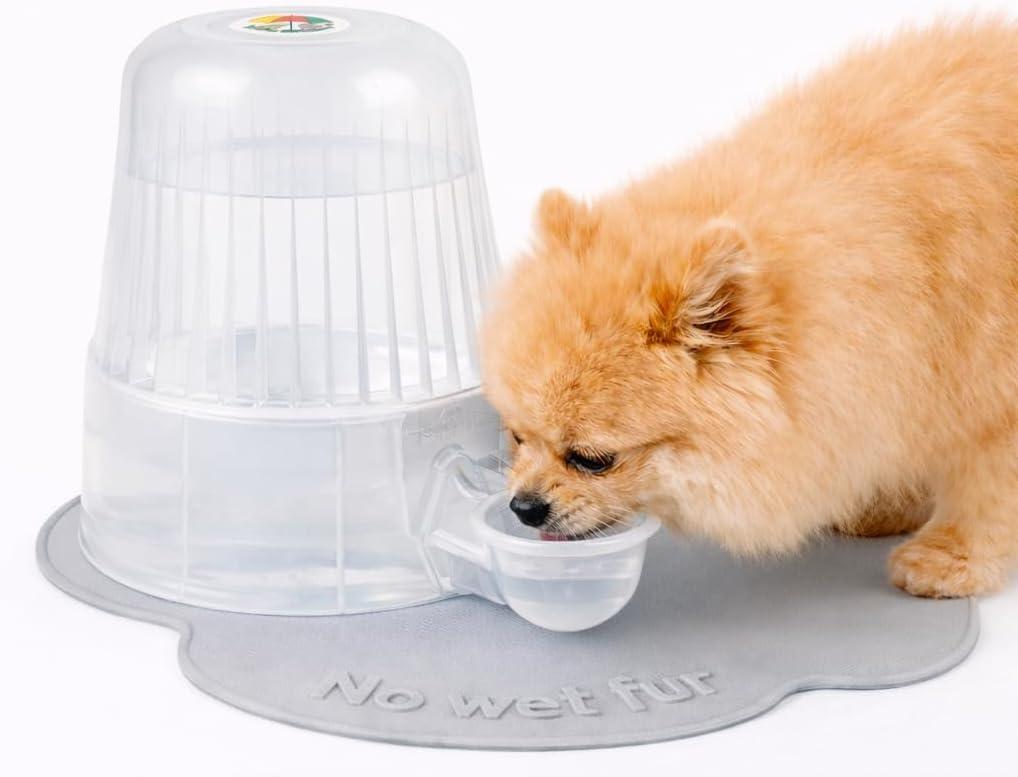 Pet Water Dispenser for Dogs and Cats, 67.6 oz Gravity-Fed Water Bowl for Clean Drinking, Prevents Wet Fur, BPA-Free Polypropylene, (Clear)