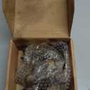 USTAR 4 PCS Exhaust & Intake Variable Valve Timing Solenoid Kit Compatible with Ford F150 Flex Edge Explorer Transit Mustang Taurus Lincoln MKX MKS MKT MKZ 3.5L 3.7L V6 917198 917197