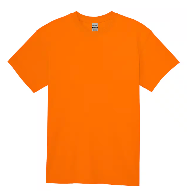 Gildan Women's Softstyle Cotton T-Shirt, Style G64000l, Multipack (X-Large, Irish Green (2-pack))