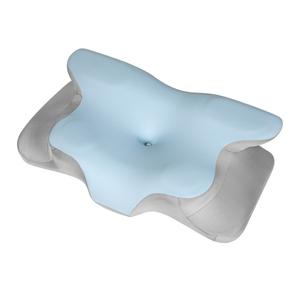 Blue Pryden Memory Foam Pillow