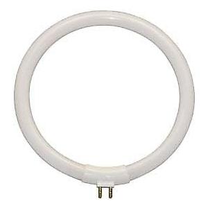 Technical Precision FC12T4/865/LG 12W T4 Circular Fluorescent Light Bulb, 6400K Daylight, G10q Base - 5.45-inch Diameter Bulb