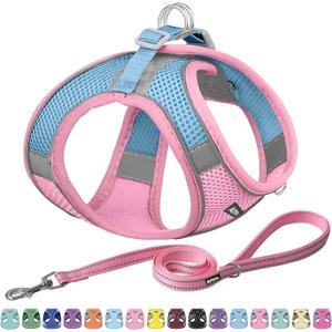 AIITLE Step in Dog Harness and Leash Set - Summer No Pull Escape Proof Vest Harnesses with Soft Mesh and Reflective Bands, Adjustable Pet Outdoor Harnesses for Small and Medium Dogs Pink M (M(Chest: 16 - 18"))