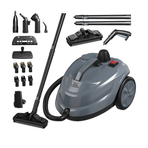 Steam Cleaner, Powerful Heavy Duty Canister Steamer with 34 Accessories, Steam Mop with 16.4 Ft Extra-Long Power Cord for Home Floor Cleaning, Grout, Upholstery, Car Detailing, Grey