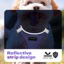 Rttochfy Small Dog Harness, Soft and Reflective Puppy Harness, Dog Harness and Leash Set for Small Size Dogs Training, Walking (Orange M) (M (Chest:15.5"-17.5"))