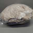 Westinghouse Heated Throw Blanket, Electric Blanket Throw with 6 Heating Levels and 2-10 Hours Time Settings, Flannel to Sherpa Super Cozy Heated Blanket Machine Washable, 50x60 inch, Beige