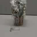 Small Table Top Christmas Tree with Lights, Mini Christmas Tree Decorations with Merry Christmas Pumpkin Pine Cones Norfolk Pine Stems Ornaments for Home Party Office Indoor Decorations 12Inch, Brown