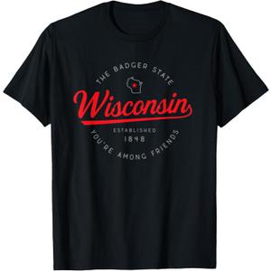Wisconsin WI Badger State You're Among Friends in Wisconsin T-Shirt, S
