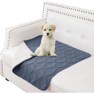 Waterproof Dog Blanket, 30x30 inches Small Pet Couch Covers for Sofa, Chair Bed Furniture Protector from Dogs Washable and Reversible-Blue+Cream