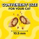 Temptations Classic Crunchy and Soft Cat Treats, Shrimpy Shrimp Flavor, 16 oz. Tub (1 Pound (Pack of 1))