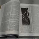 The Oxford Dictionary of the Christian Church, Hardcover