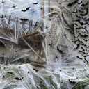 Halloween Decoration Outdoor, 1600sqft Spider Webs Halloween Party Decorations with 100Pcs Fake Spiders and 60Pcs Bats for Exterieur, Indoor Outdoor Party Supplies