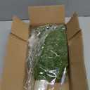 Norfolk Pine Stems for Christmas Decor, 50 Pcs Artificial Faux Realistic Pine Branches for DIY Crafts, Indoor Outdoor Holiday Decorations