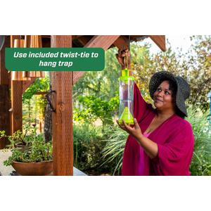 WHY Trap for Wasps, Hornets, & Yellowjackets – Hanging Outdoor Trap